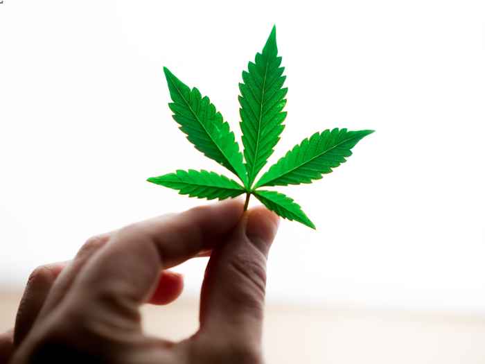Majority of Texas Republicans Back Marijuana Legalization