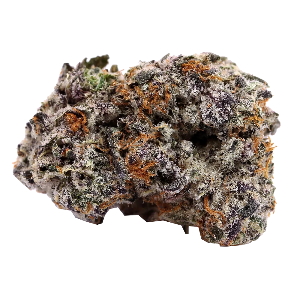 BULK : THCa Flower | Black Truffle : INDICA (31.99%)
