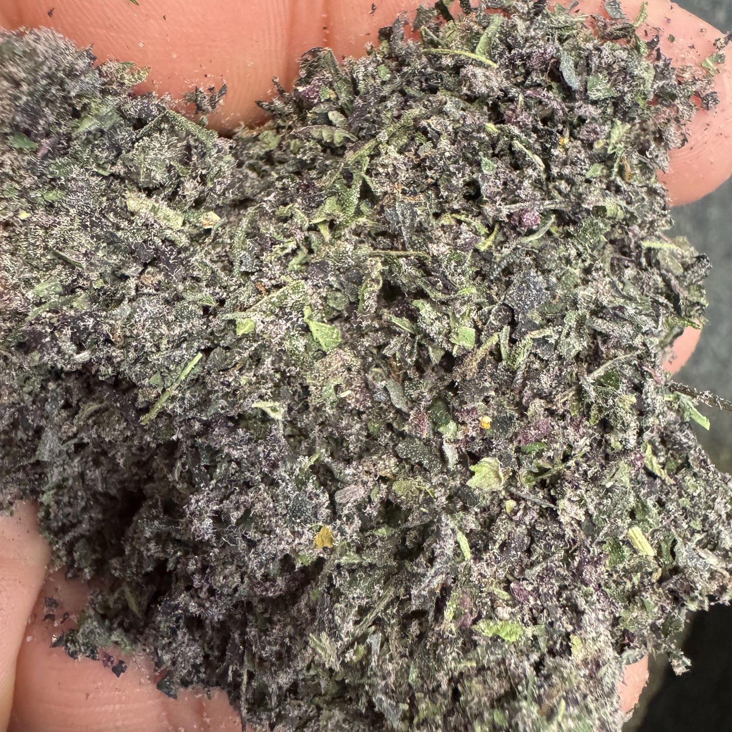 BULK : THCa Shake | Blueberry Z : INDICA (27.63%)