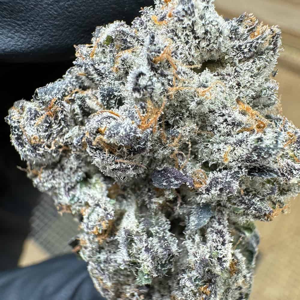 THCa Flower | Dantes Inferno : INDICA (35.97%)