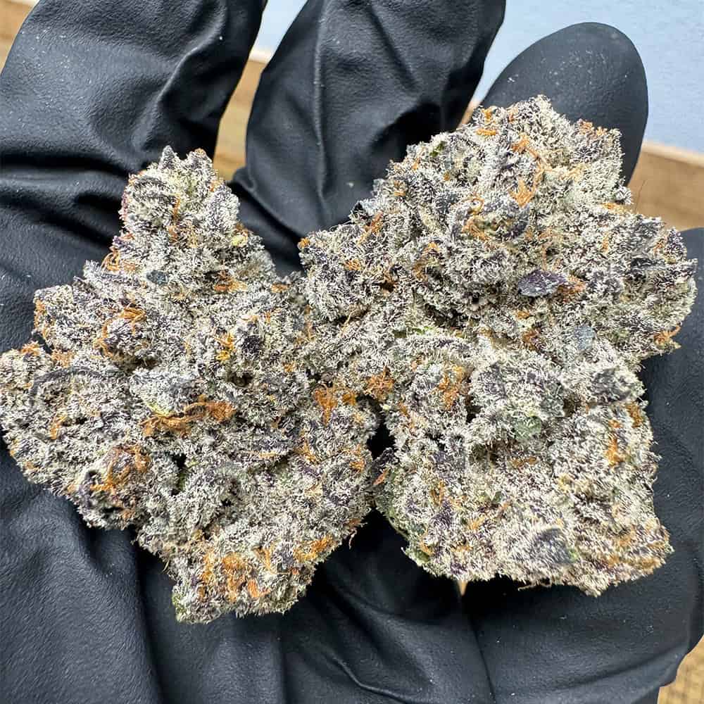 BULK : THCa Flower | Dantes Inferno : INDICA (35.97%)