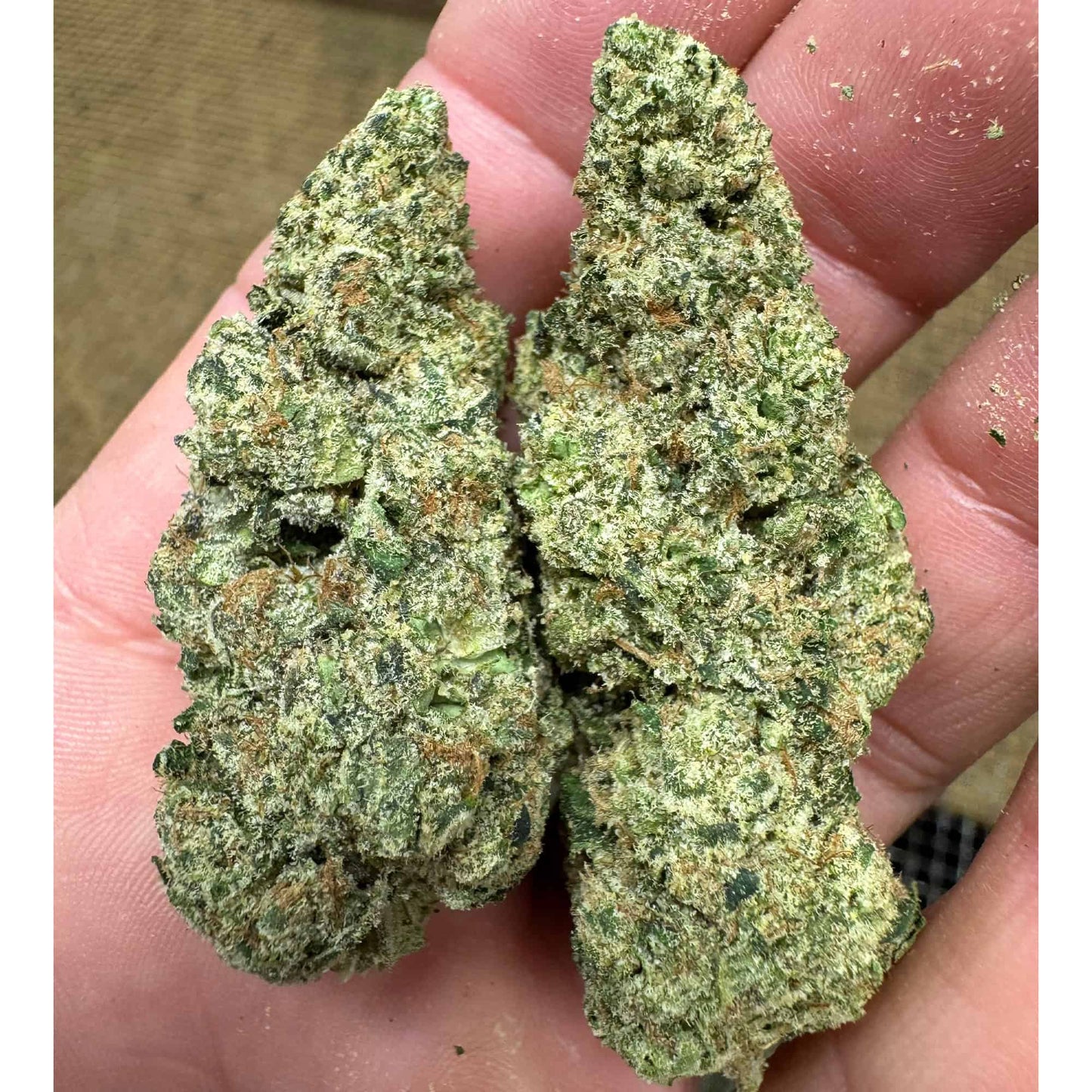 BULK : THCa Flower | Donny Burger : INDICA (29.34%)