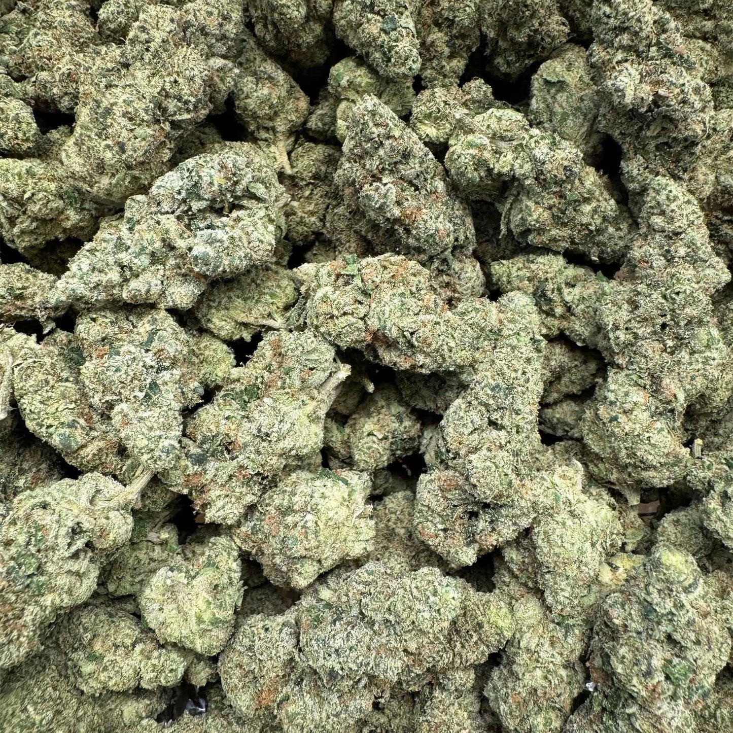 BULK : THCa Flower | Donny Burger : INDICA (29.34%)
