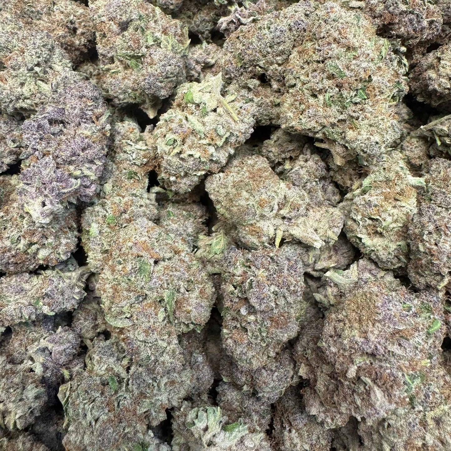 THCa Flower | GMO Grapes : INDICA (37.12%)