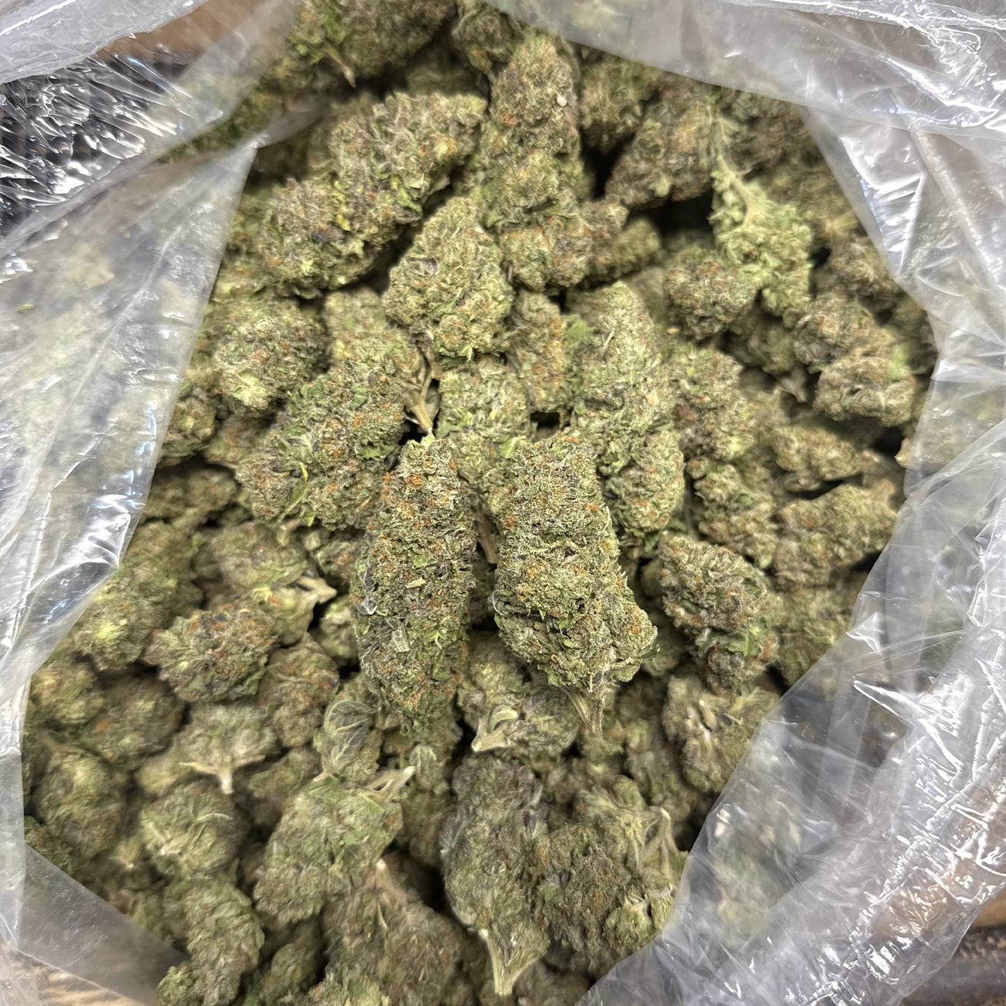 THCa Flower | Girl Scout Cookies : INDICA (38.35%)