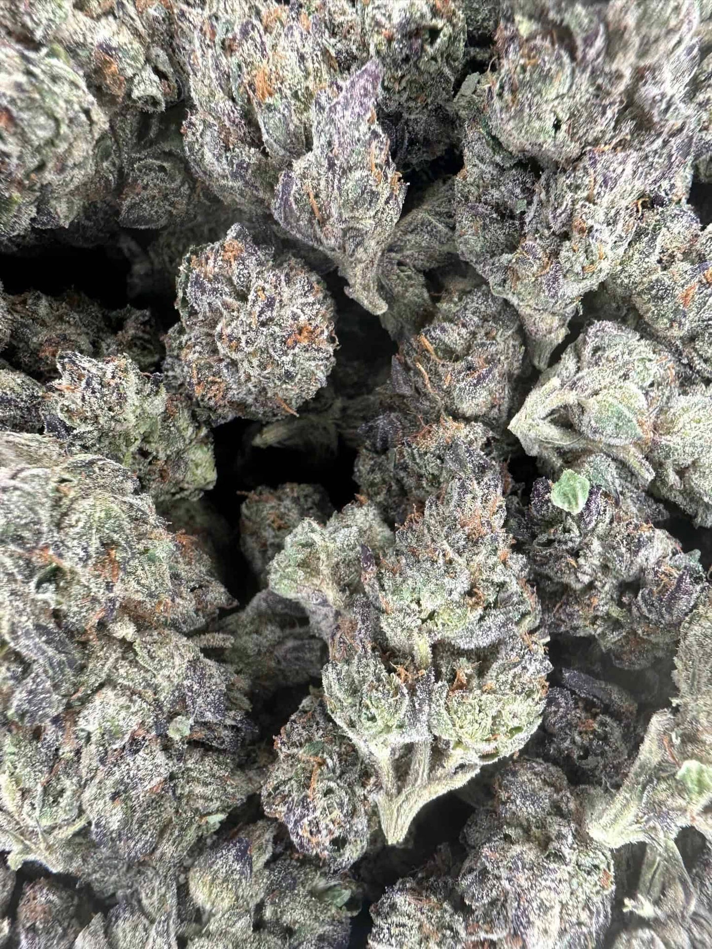 BULK : THCa Flower | Glitter Bomb : INDICA (29.45%)