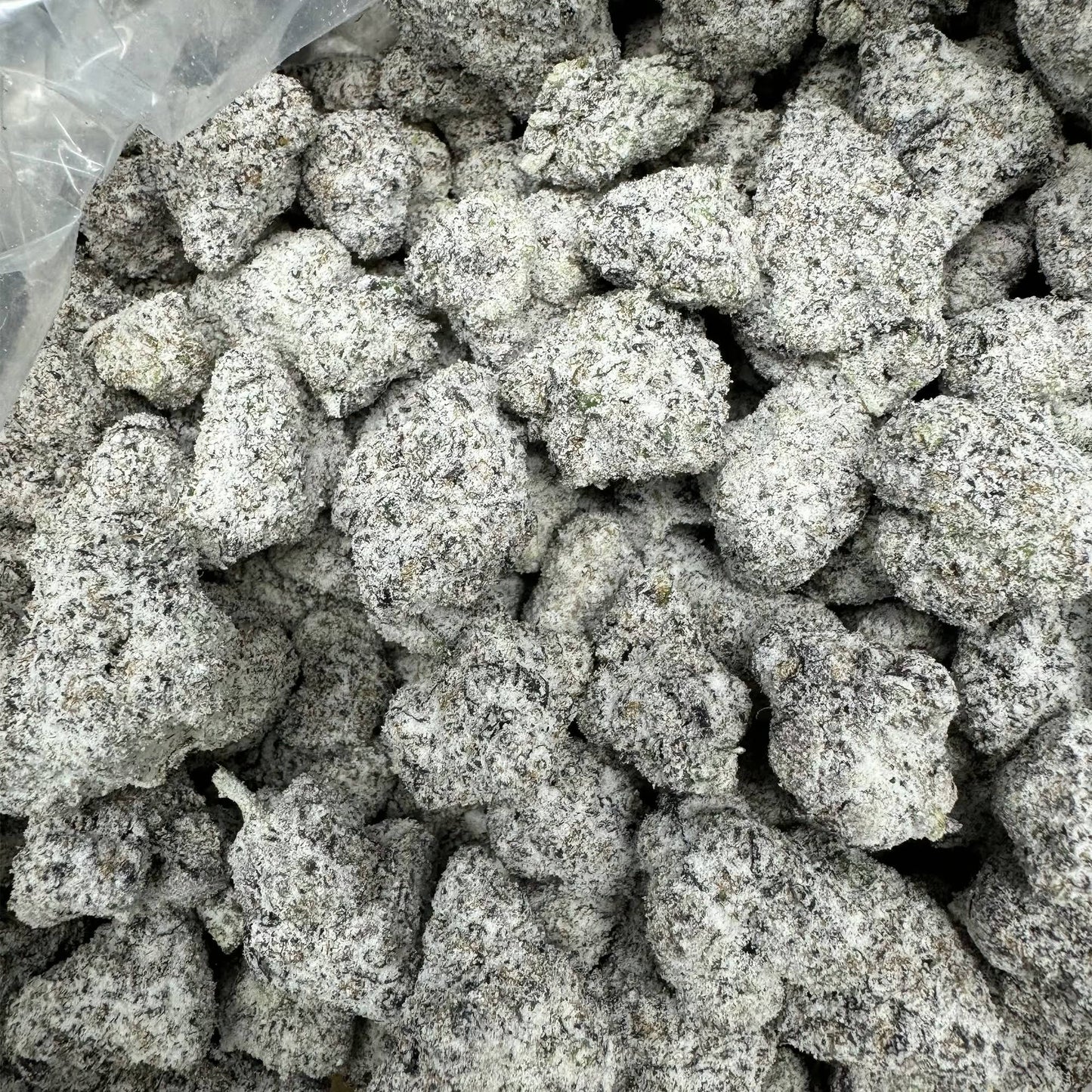 BULK : THCa Flower: Snowcaps | Green Crack : SATIVA (62.78%)