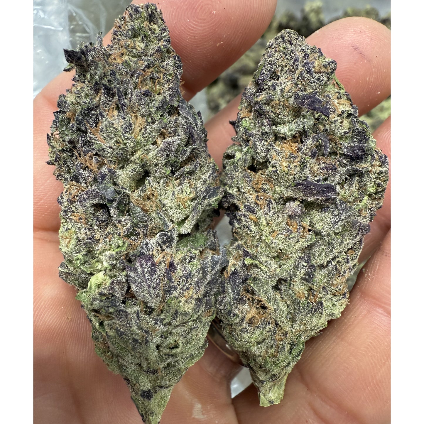 BULK : THCa Flower | Gush Mintz : INDICA (30.69%)