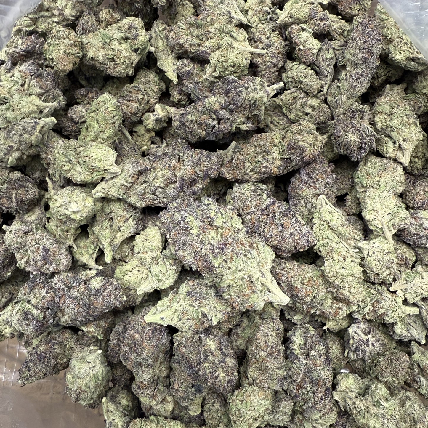 BULK : THCa Flower | Gush Mintz : INDICA (30.69%)