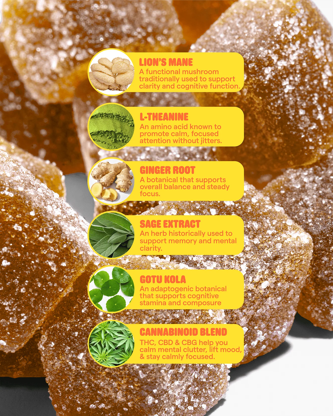 Highly In Focus THC Gummies