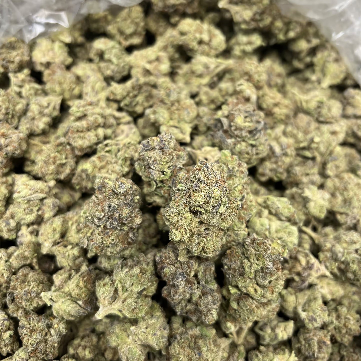 THCa Flower | Kush Mintz : HYBRID (34.88%)