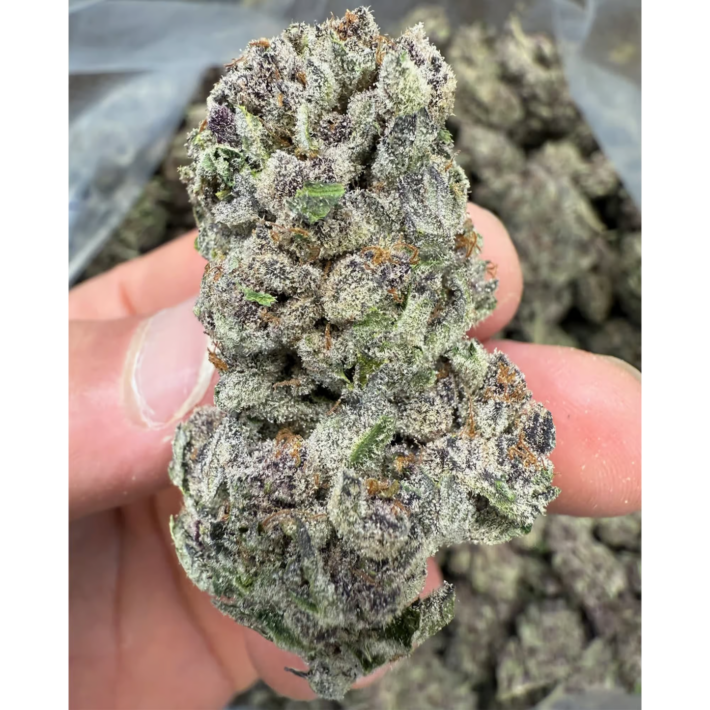 BULK : THCa Flower | No Drama Llama : INDICA (32.65%)