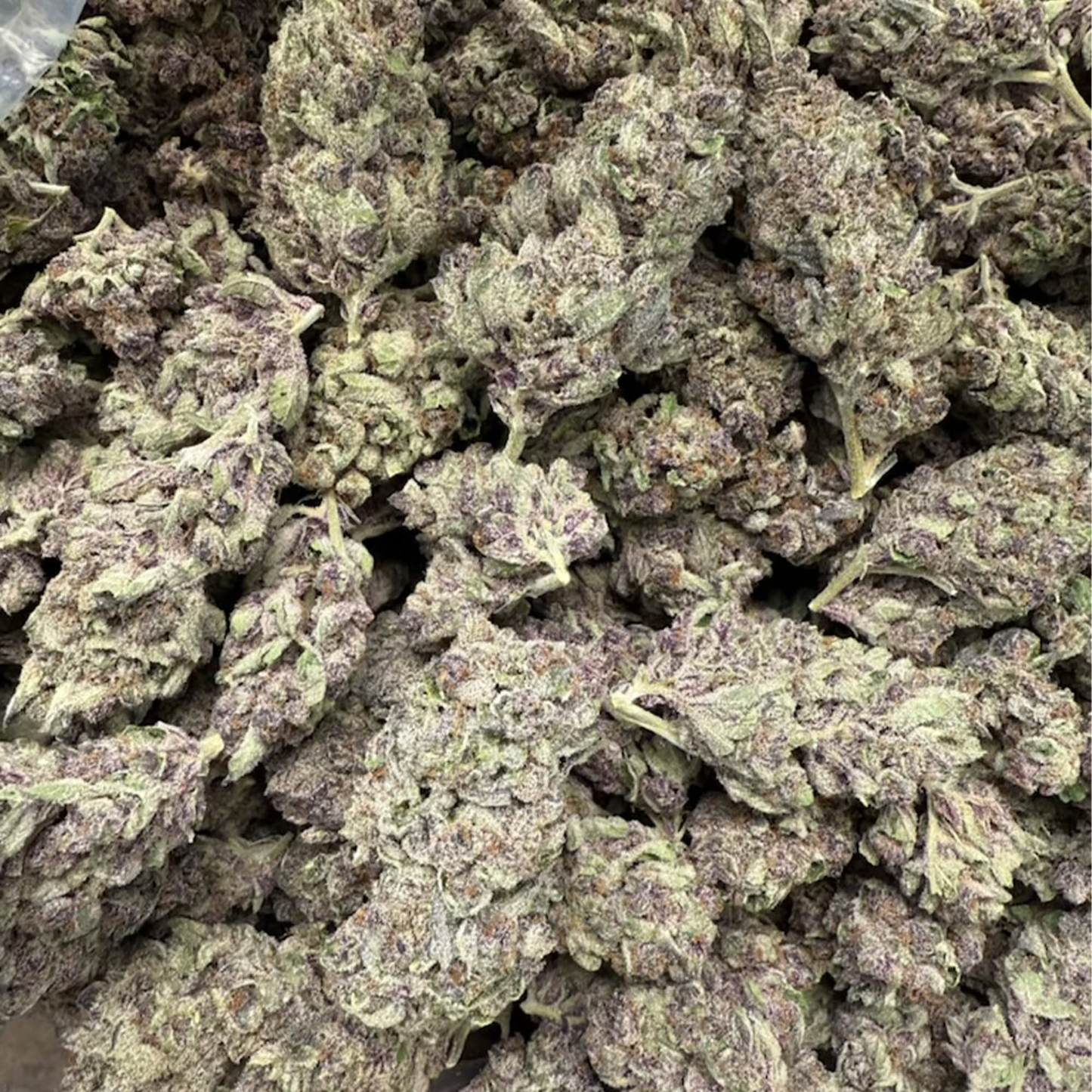 BULK : THCa Flower | No Drama Llama : INDICA (32.65%)