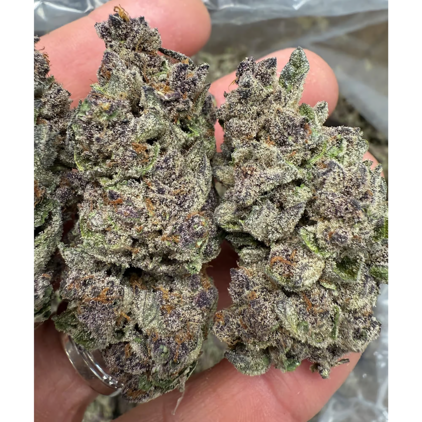 BULK : THCa Flower | No Drama Llama : INDICA (32.65%)