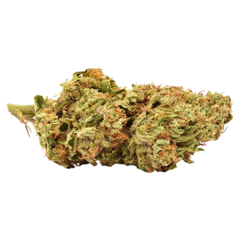 THCa Flower | Pineapple OG : SATIVA (36.03%)