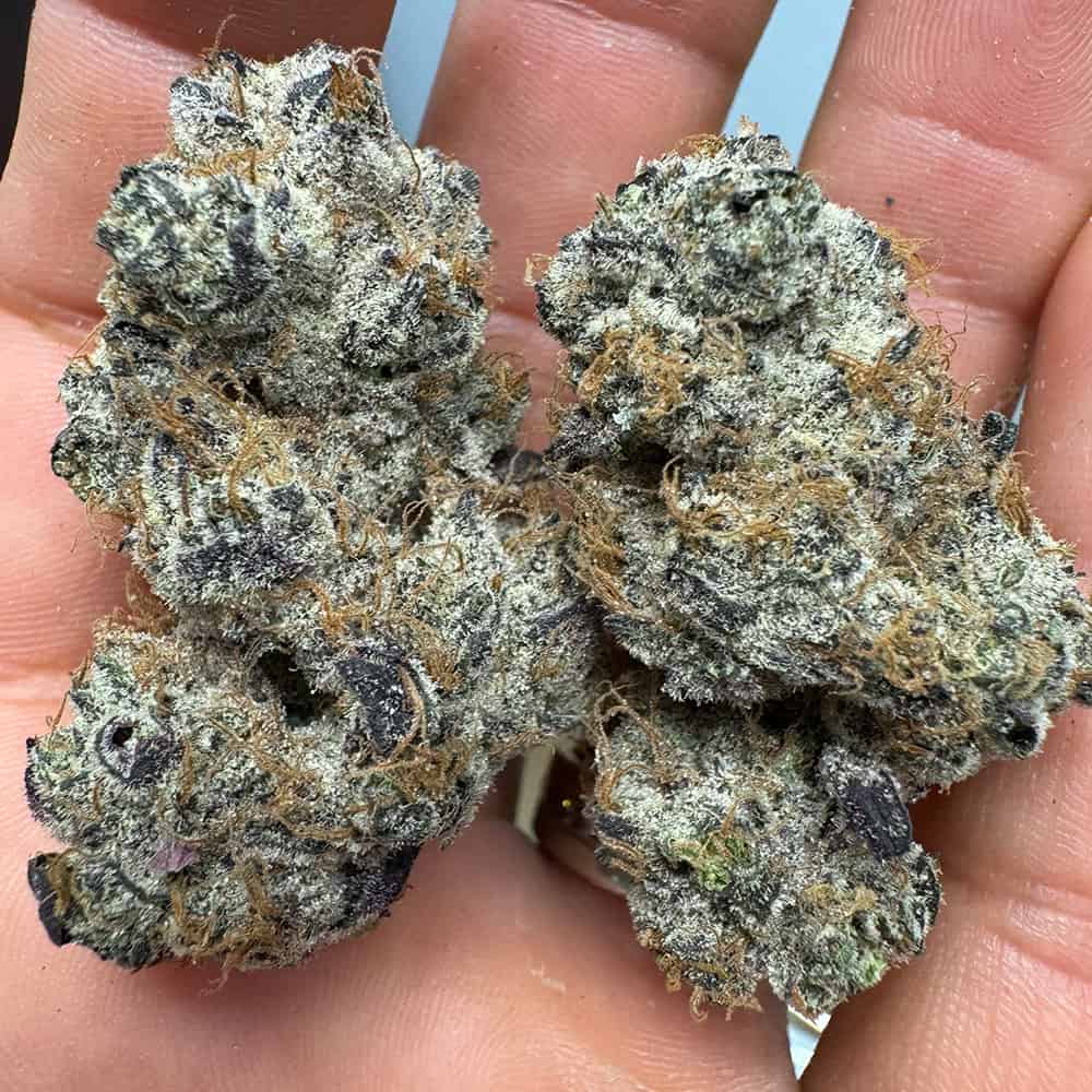 BULK : THCa Flower | Purple Voodoo : INDICA (34.37%)