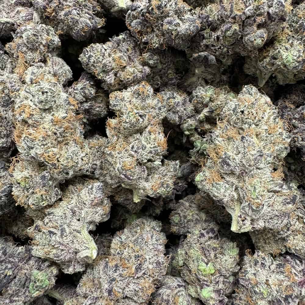 THCa Flower | Purple Voodoo : INDICA (34.37%)