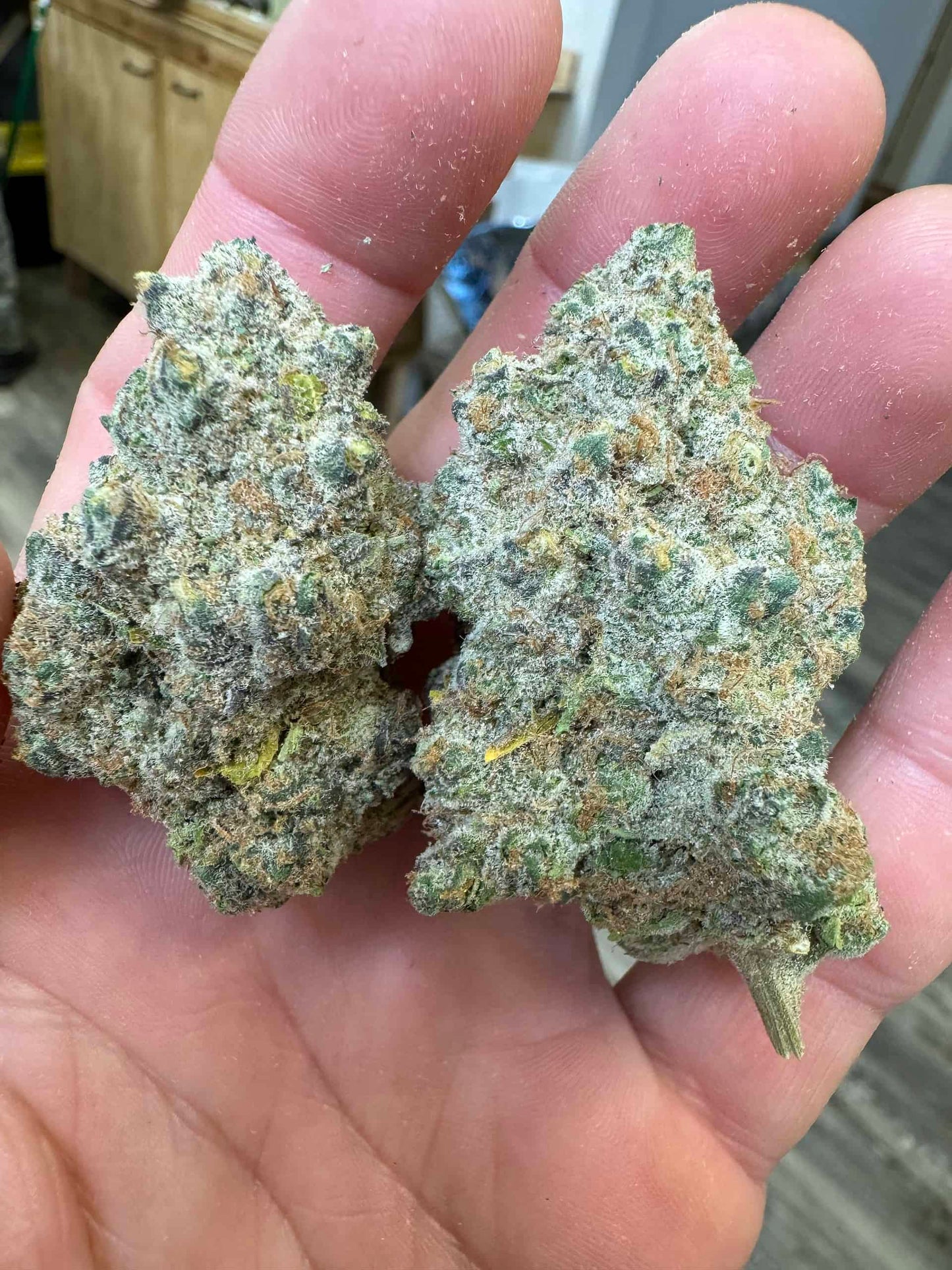 THCa Flower | Sour Diesel : HYBRID (36.91%)