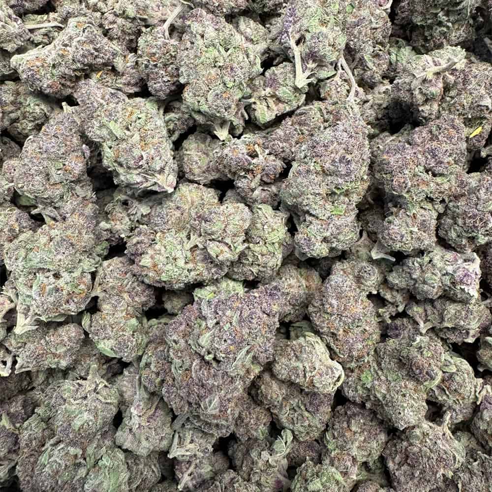 THCa Flower | Trop Cherry : SATIVA (30.56%)