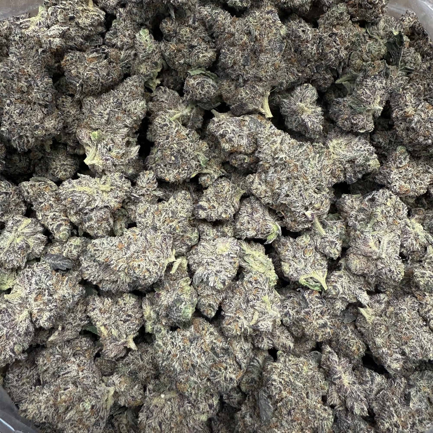 THCa Flower | Unicorn Candy : HYBRID (38.13%)