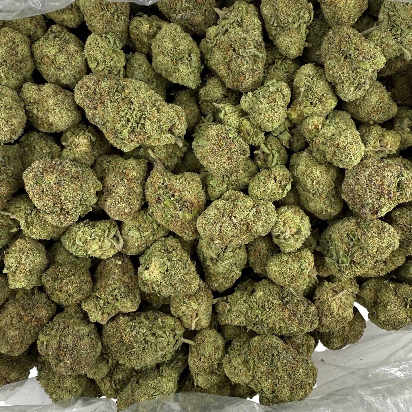 THCa Flower | Wedding Cake : HYBRID (28.41%)