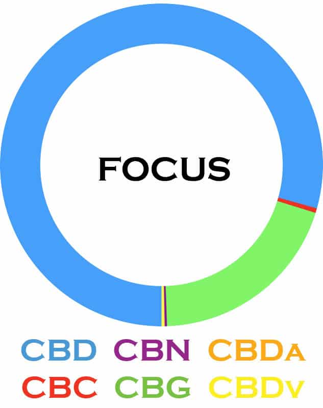 3CHI | Broad Spectrum | CBD Oil - 500mg