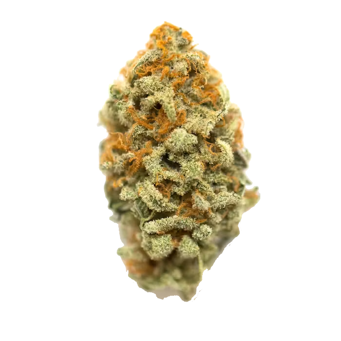 Buddah | Exotic THCa Flower - 28 Grams : Baby Yoda (HYBRID) 32.23%