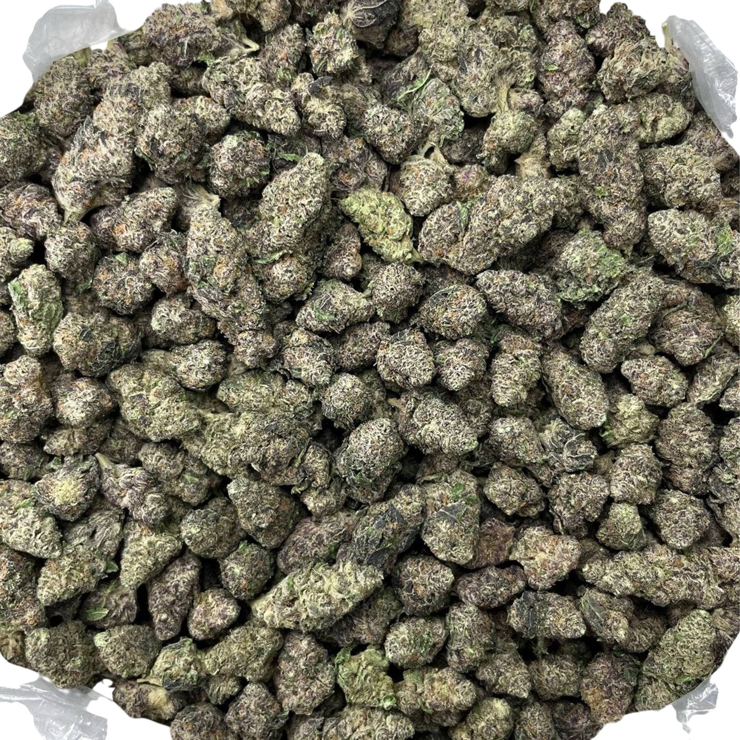 THCa Flower | Blueberry : INDICA (31.76%)