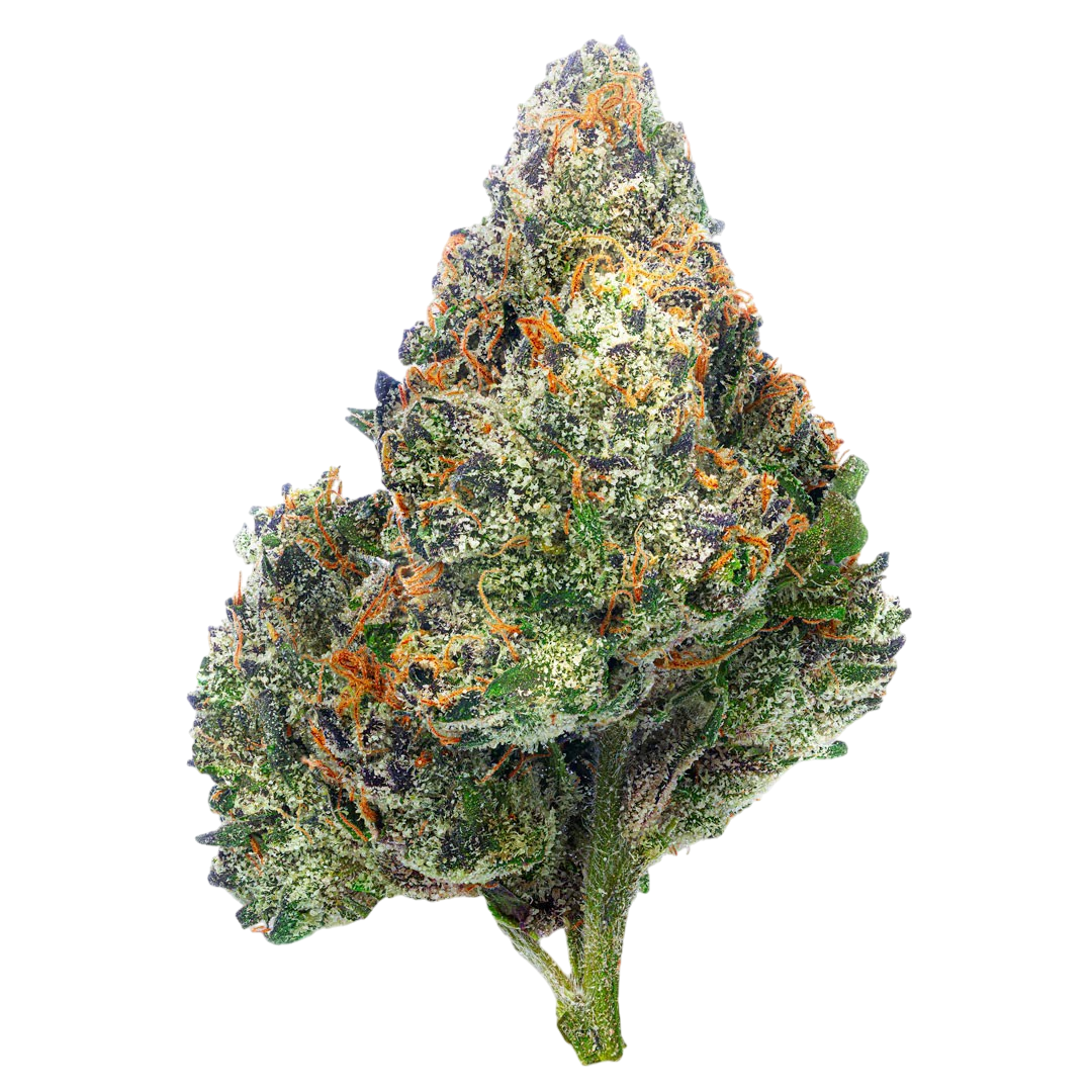 Coffin Candy - Flower : HYBRID (43.77%)