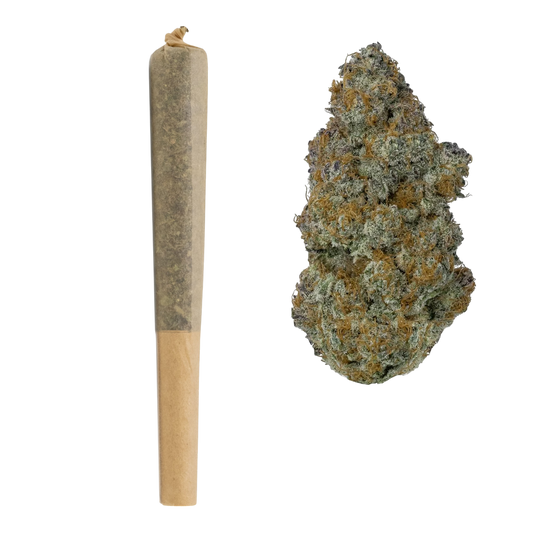 BULK : 1G THCa Pre Rolls | GMO Cookies : INDICA (31.24%)