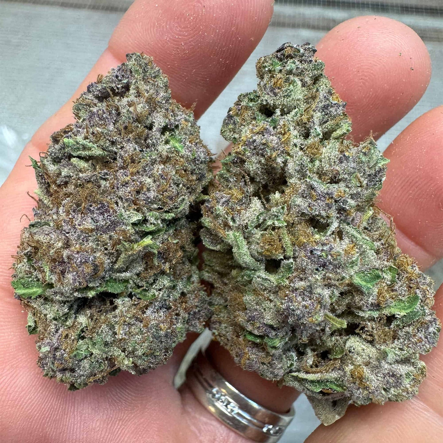 THCa Flower | GMO Grapes : INDICA (37.12%)