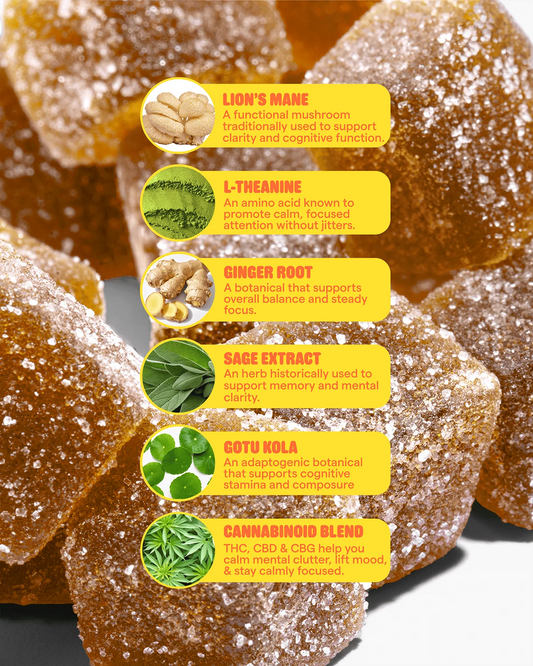 Highly In Focus THC Gummies