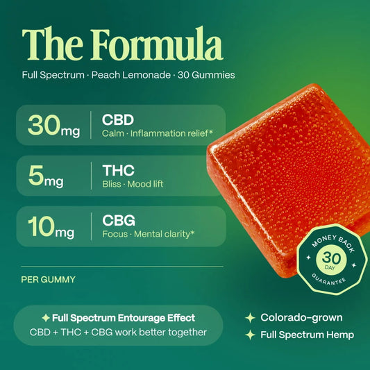 Afternoon Delight CBD + THC Gummies