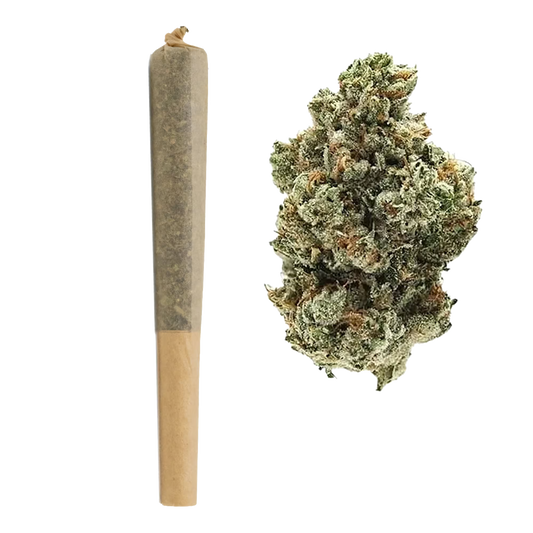 BULK : 1G THCa Pre Rolls | Jet Fuel : HYBRID (28.98%)