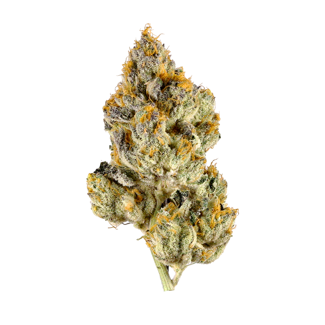 Flurish | Exotic THCa Flower | Lemon Cherry Gelato : HYBRID (22.8%)