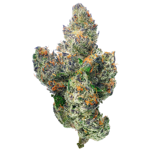Lemon Dior : HYBRID (41.85%)