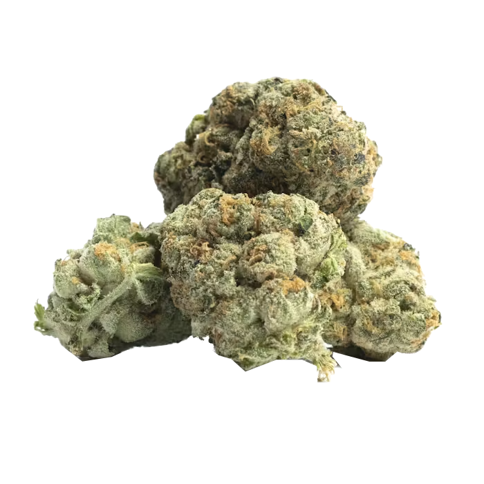 Buddah | THCa Flower - 28 Grams : Mango 3D (INDICA) 28.92%