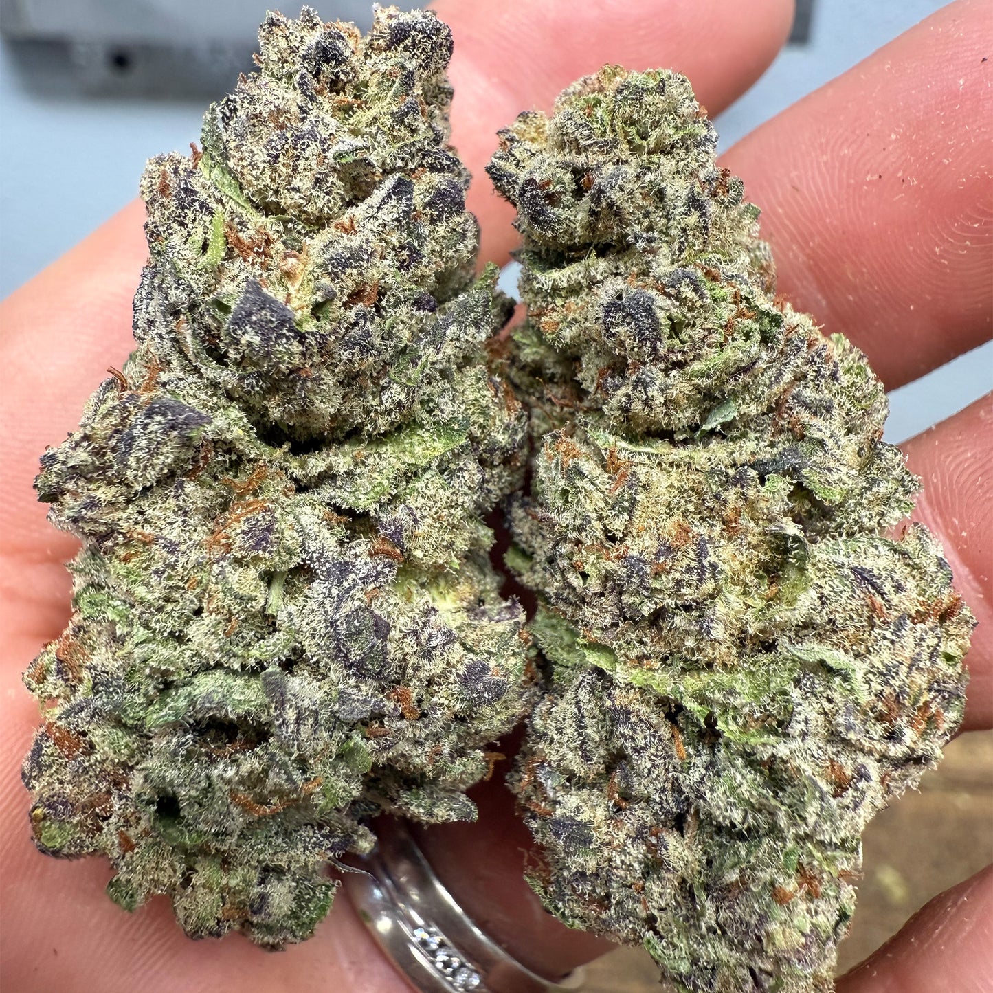 THCa Flower | Pinnacle : INDICA (34.13%)