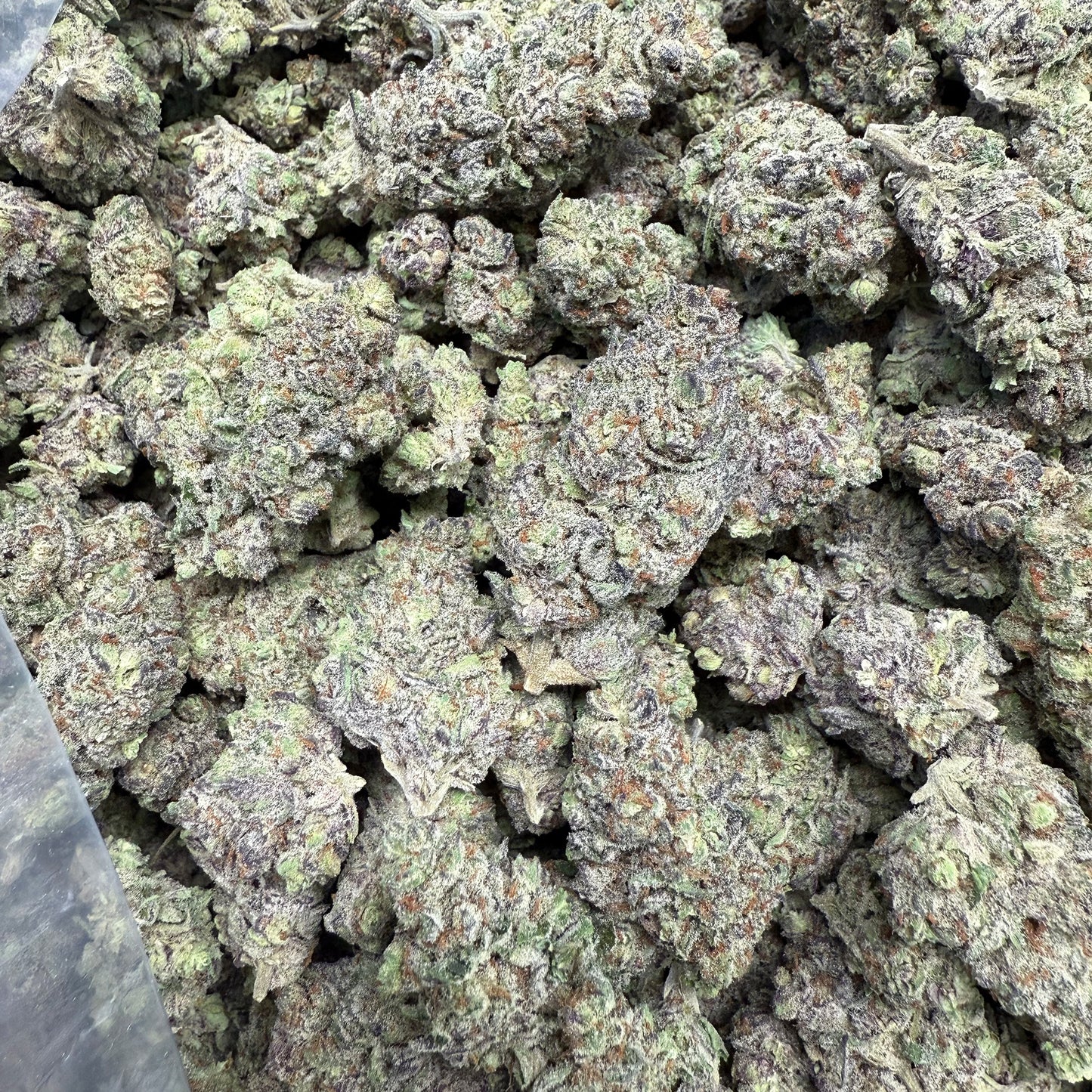 THCa Flower | Pinnacle : INDICA (34.13%)