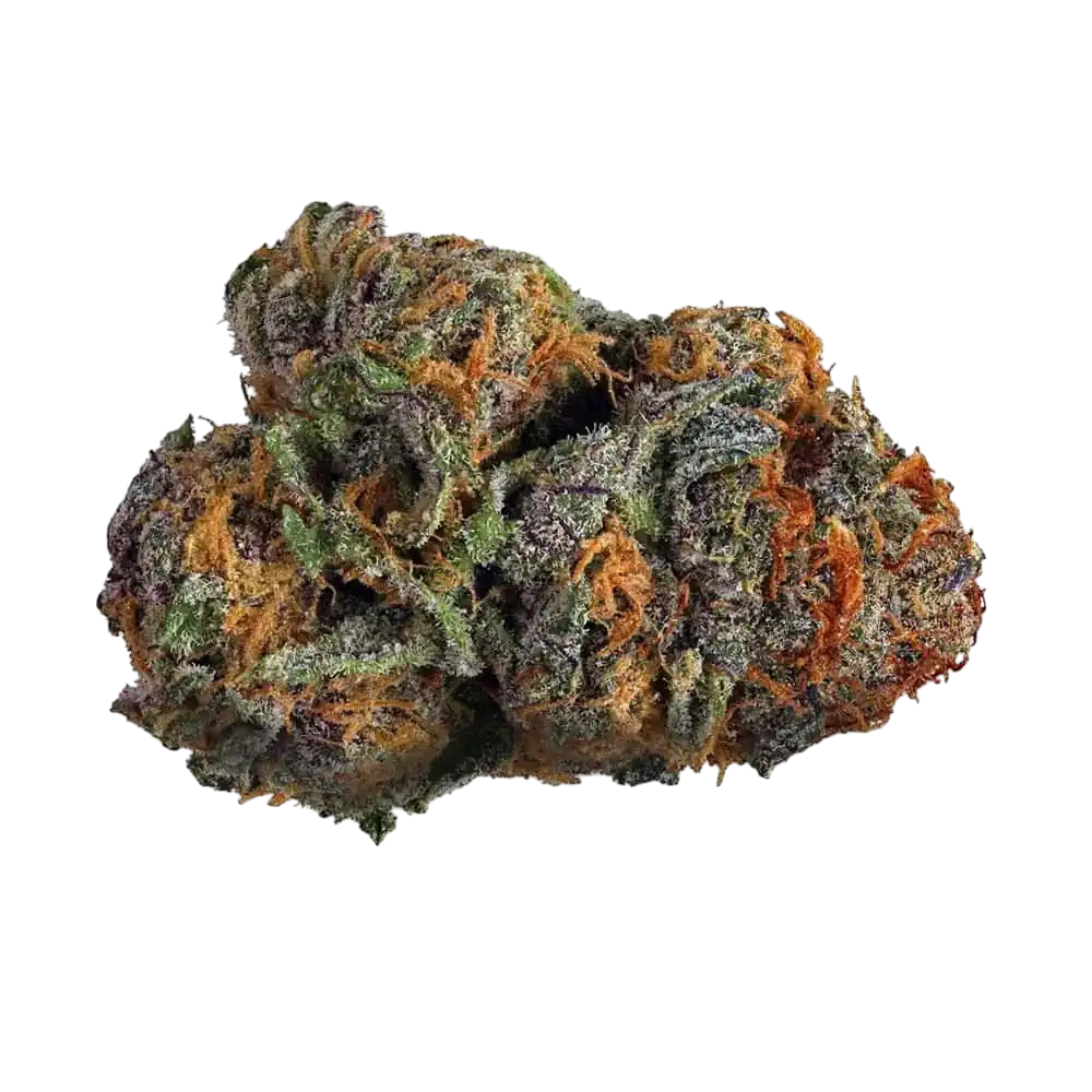 BULK : THCa Flower | Purple Voodoo : INDICA (34.37%)