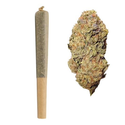 BULK : 1G THCa Pre Rolls | Rainbow Runtz : INDICA (26.03%)