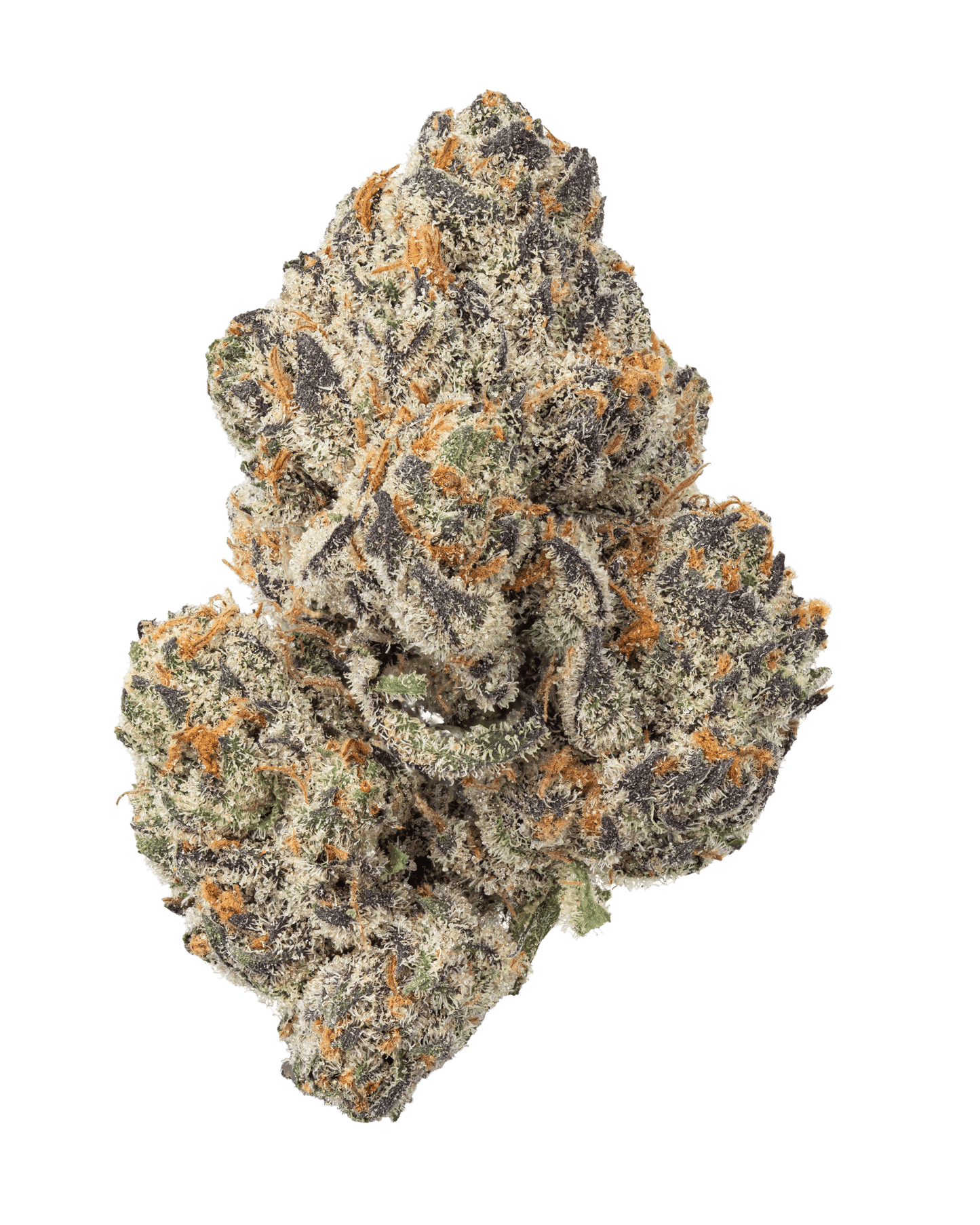 Petalz | Exotic THCa Flower : 1G