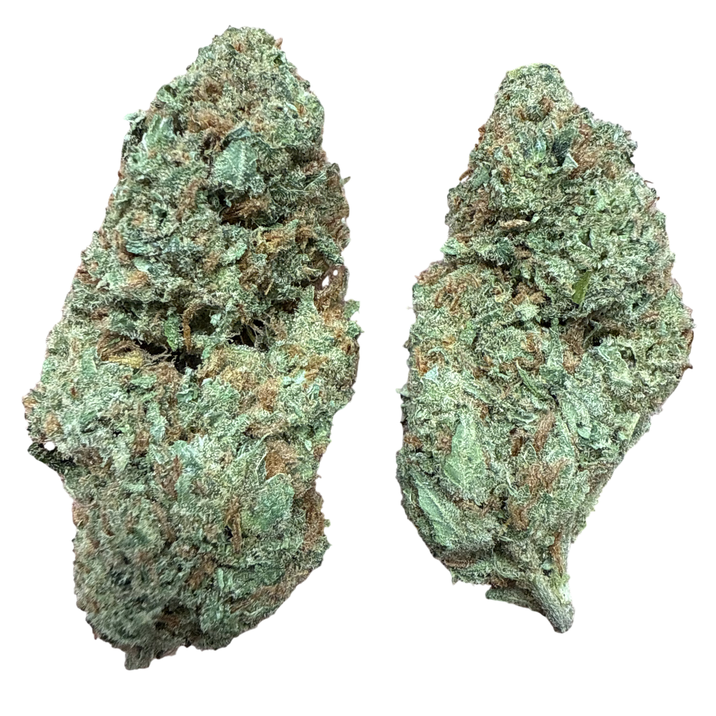 THCa Flower | Super Silver Haze : SATIVA (27.66%)