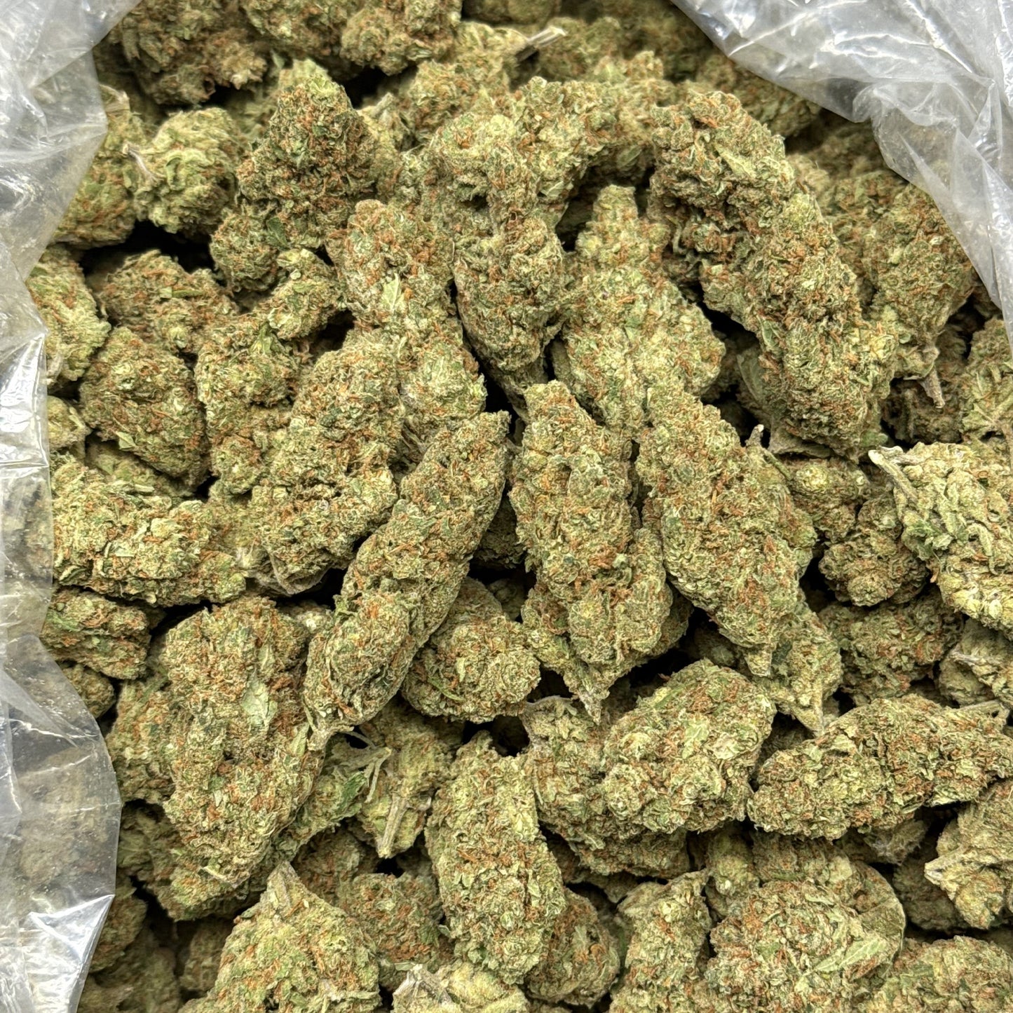 THCa Flower | Super Silver Haze : SATIVA (27.66%)