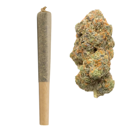 BULK : 1G THCa Pre Rolls | TK Lato : HYBRID (22.52%)