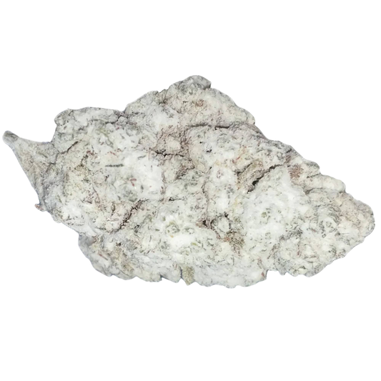 BULK : THCa Flower: Snowcaps | Trop Cherry : SATIVA (64.54%)