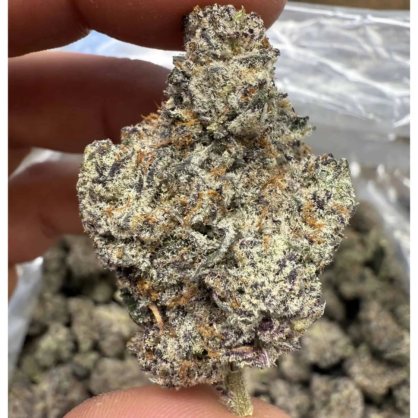 THCa Flower | Unicorn Candy : HYBRID (38.13%)