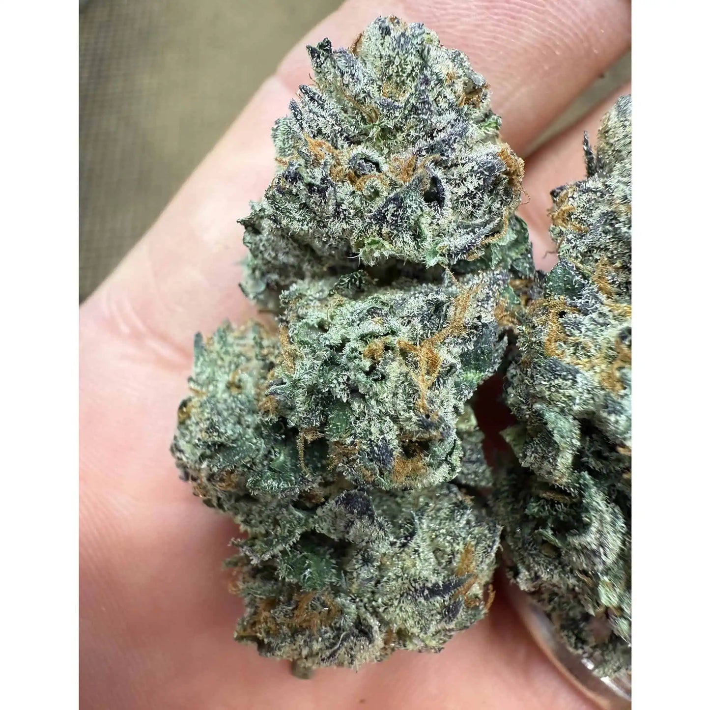 BULK : THCa Flower | White Runtz : INDICA (30.66%)