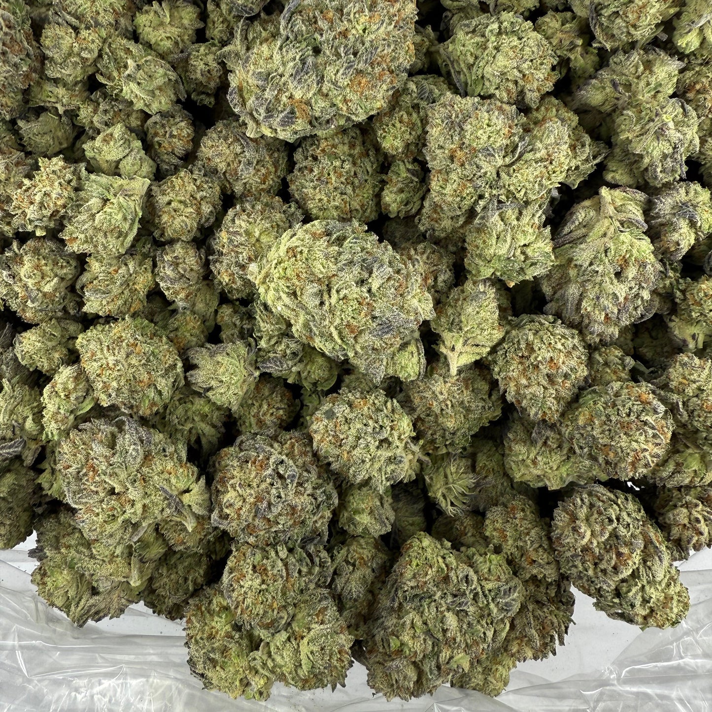THCa Flower | White Truffle : INDICA (29.24%)