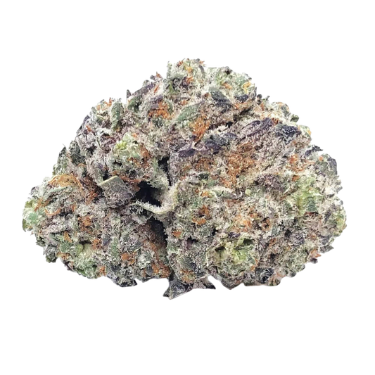 THCa Flower | White Truffle : INDICA (29.24%)